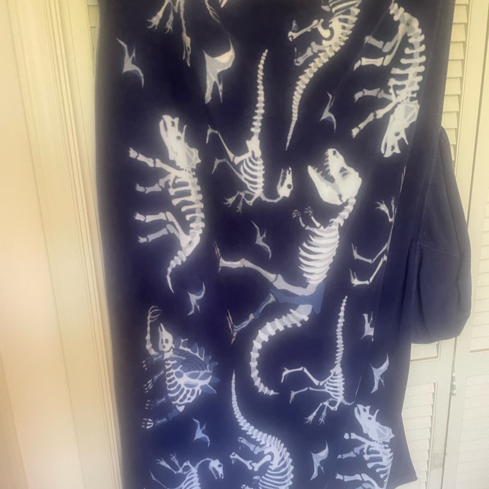 Dinosaur Skeleton Print pottery barn hooded towel